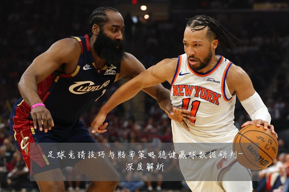 足球竞猜技巧与赔率策略稳健赢球数据研判-深度解析